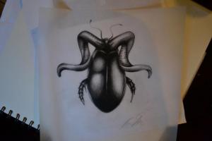 312799_10150378382094834_465895880_n