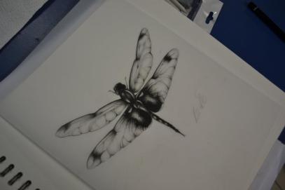 375478_10150378661664834_2015897035_n